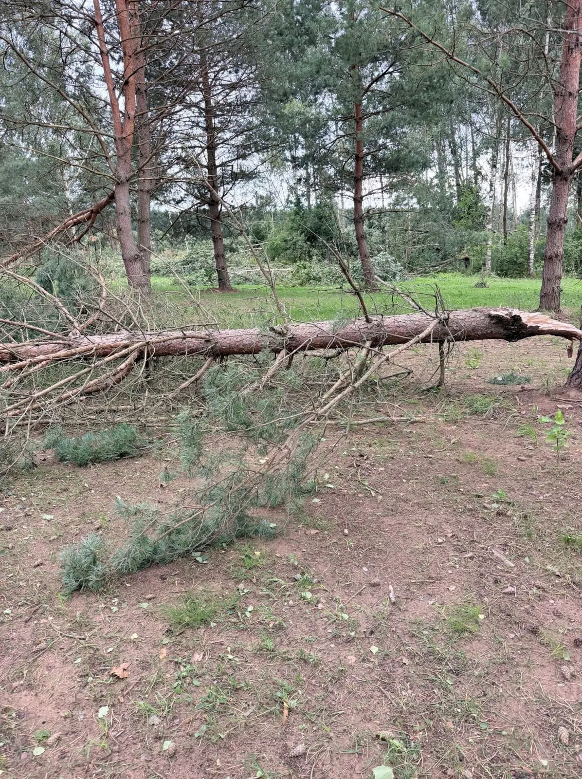 Audros smūgis verslui: kai kurios įmonės be elektros liko beveik savaitei