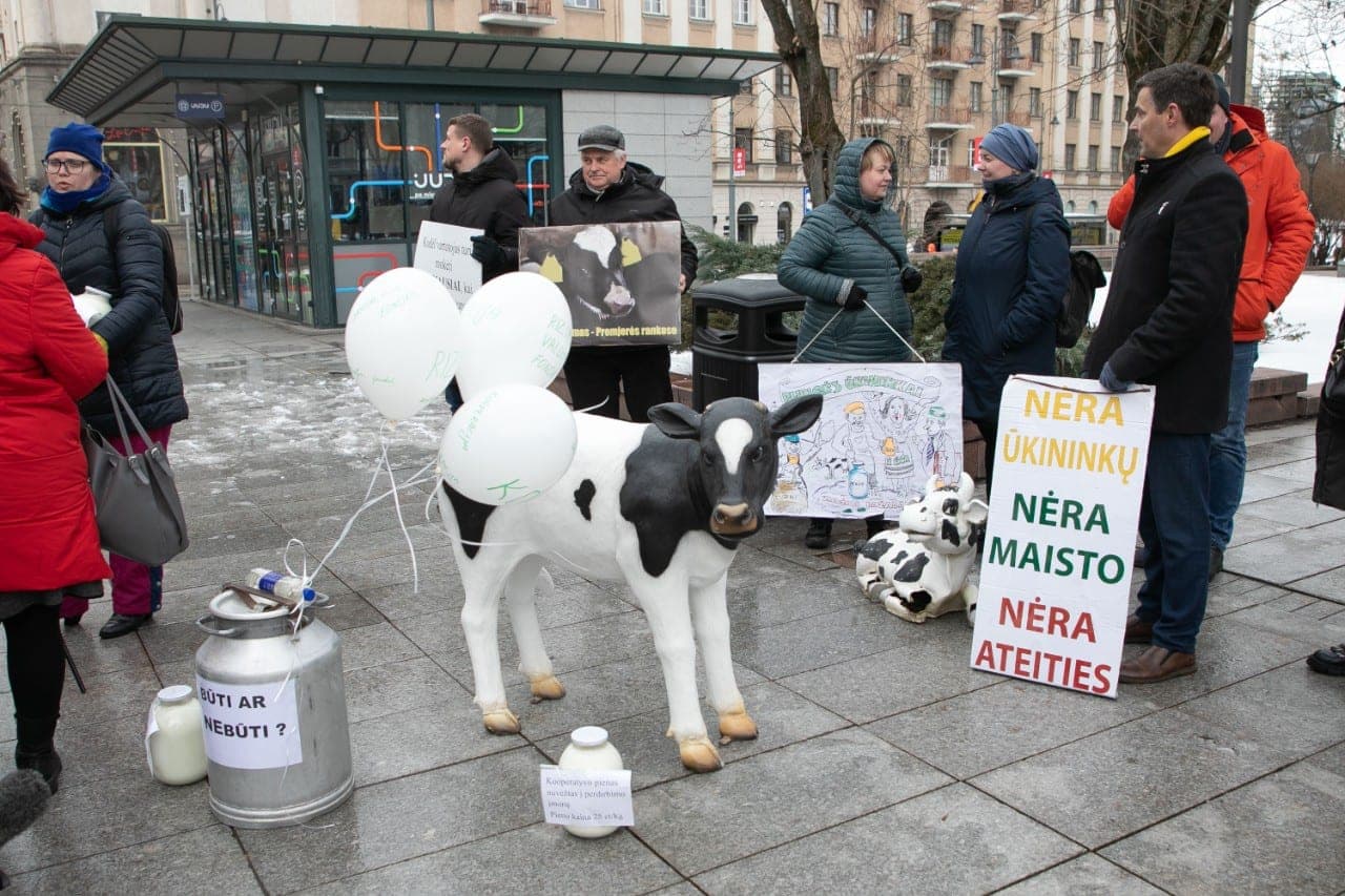 Laktozės netoleravimas ir alergija: ką daryti, jeigu bloga nuo pieno?