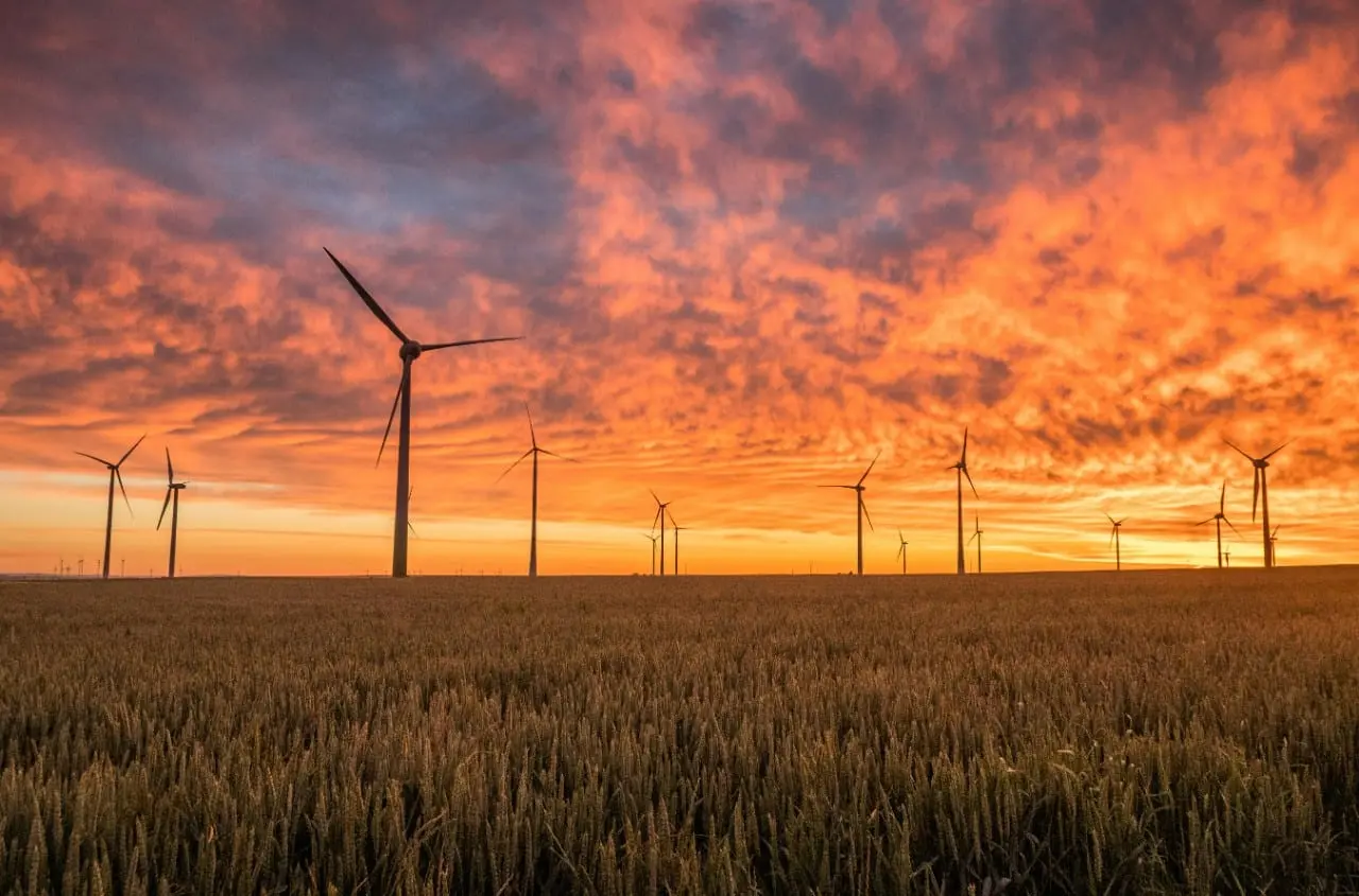 Kiek mums kainuos vėjo parkų elektra?