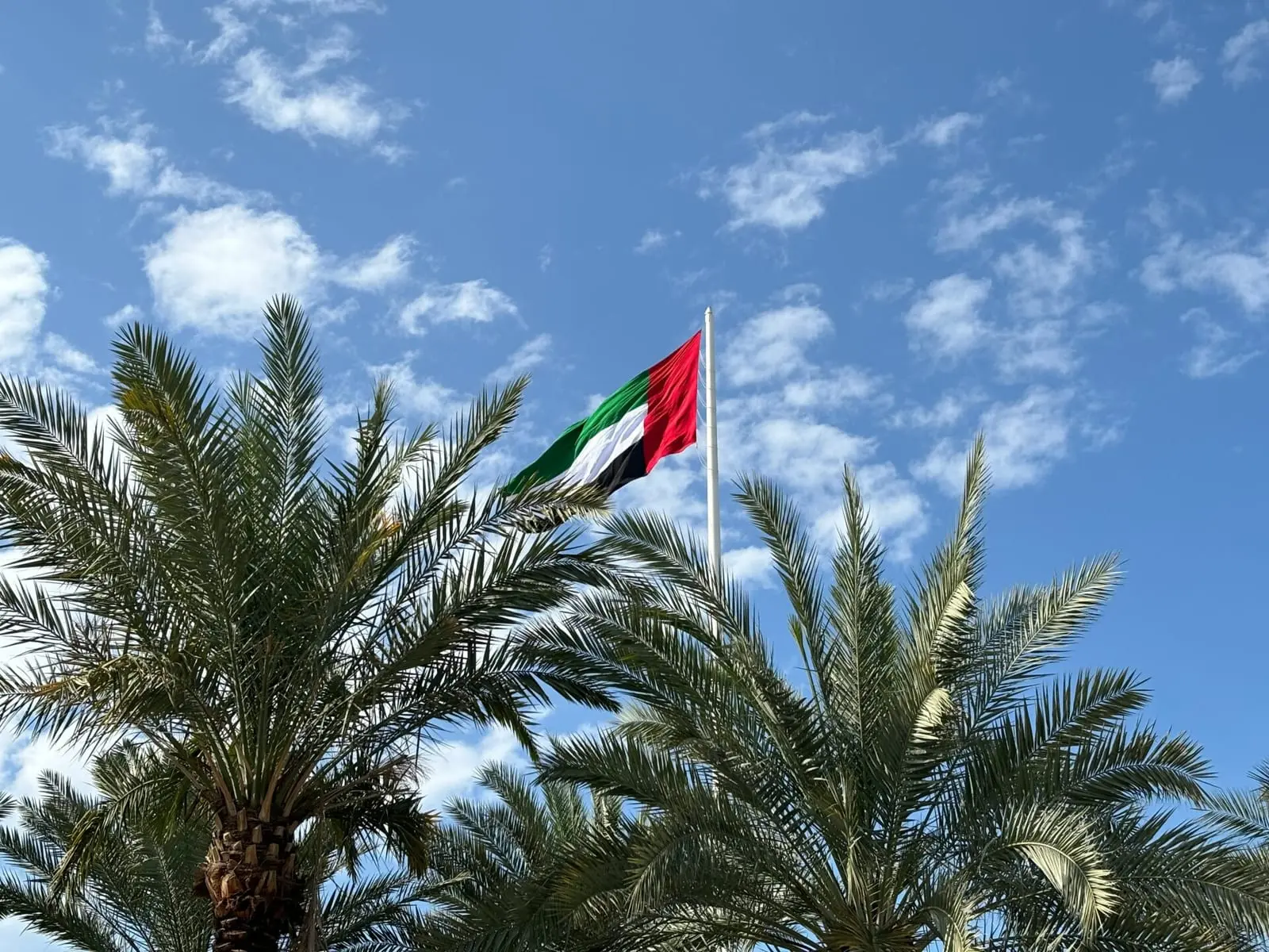 Už pasidalijimą smūgių įrašais – baudžiamoji byla: Dubajuje 21 žmogui jau pareikšti kaltinimai