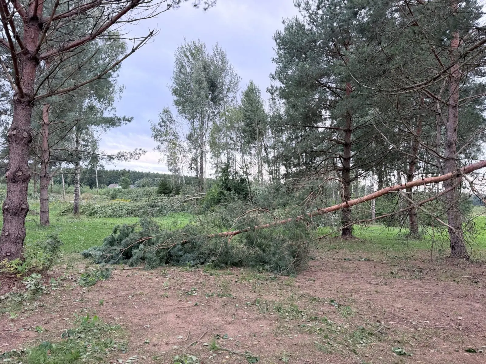 Po audros – rimti pokyčiai: ESO tinklams skirs beveik 66 mln. eurų