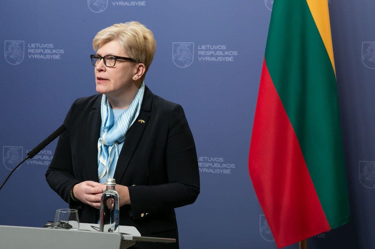 77 apklausa: daugiau nei 90 proc. respondentų nebalsuos už I. Šimonytę