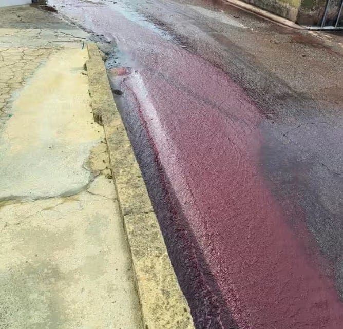 Du milijonai litrų raudonojo vyno tekėjo nedidelio Portugalijos miestelio gatvėmis