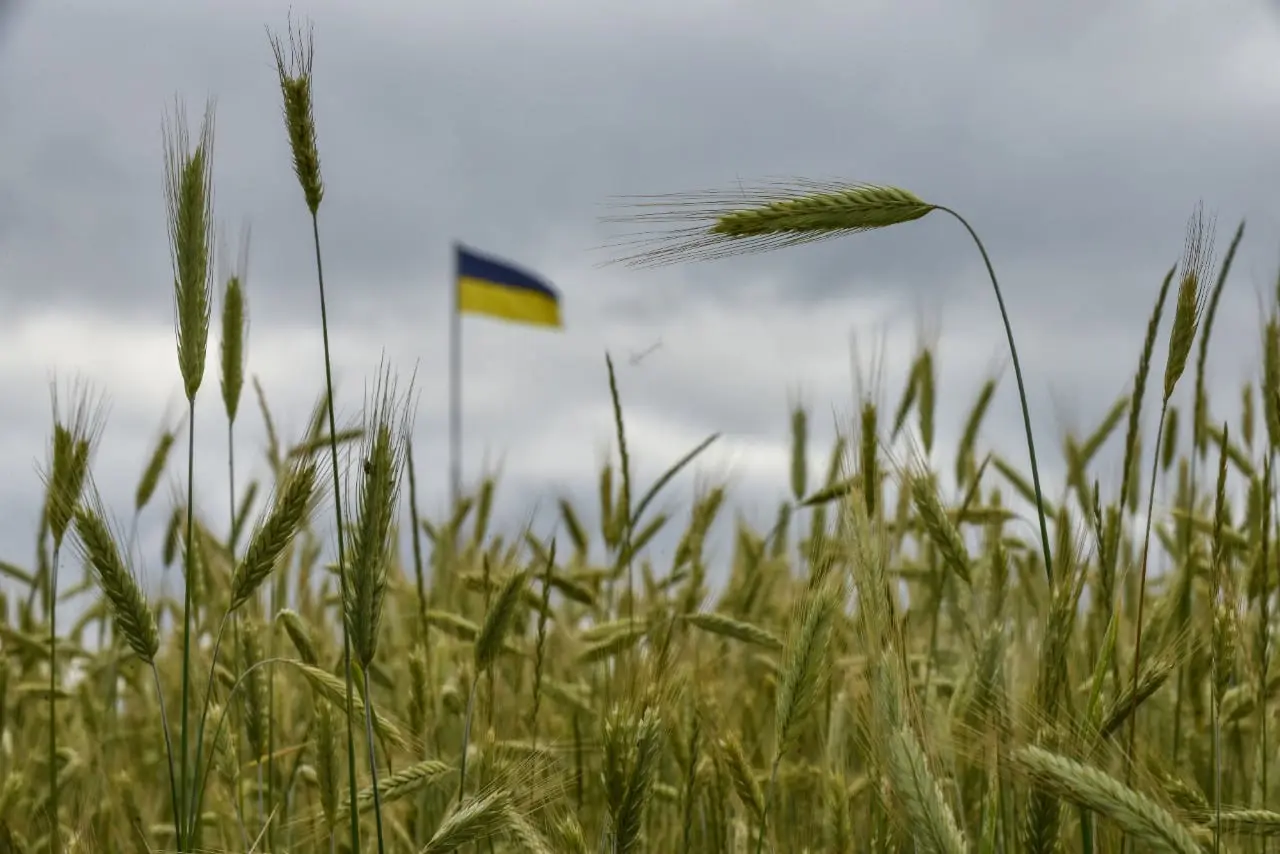 Ukraina padavė ieškinį prieš Lenkiją, Vengriją ir Slovakiją