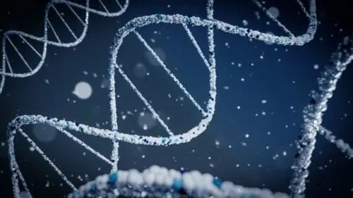Cas9 baltymas ne tik kerpa DNR: VU mokslininkai atrado naują CRISPR-Cas genų žirklių funkciją