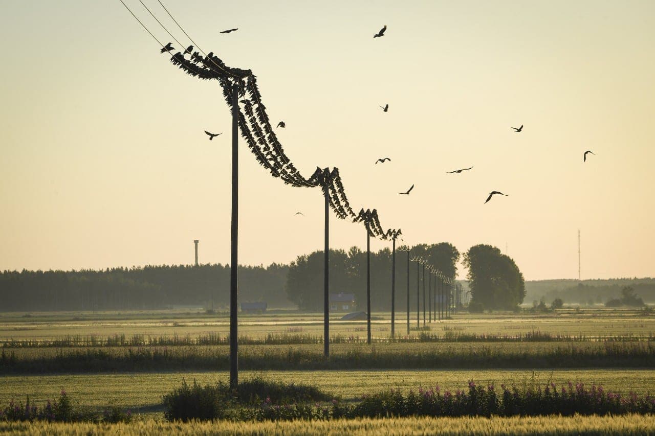 Magnetinės audros gali išjungti elektrines