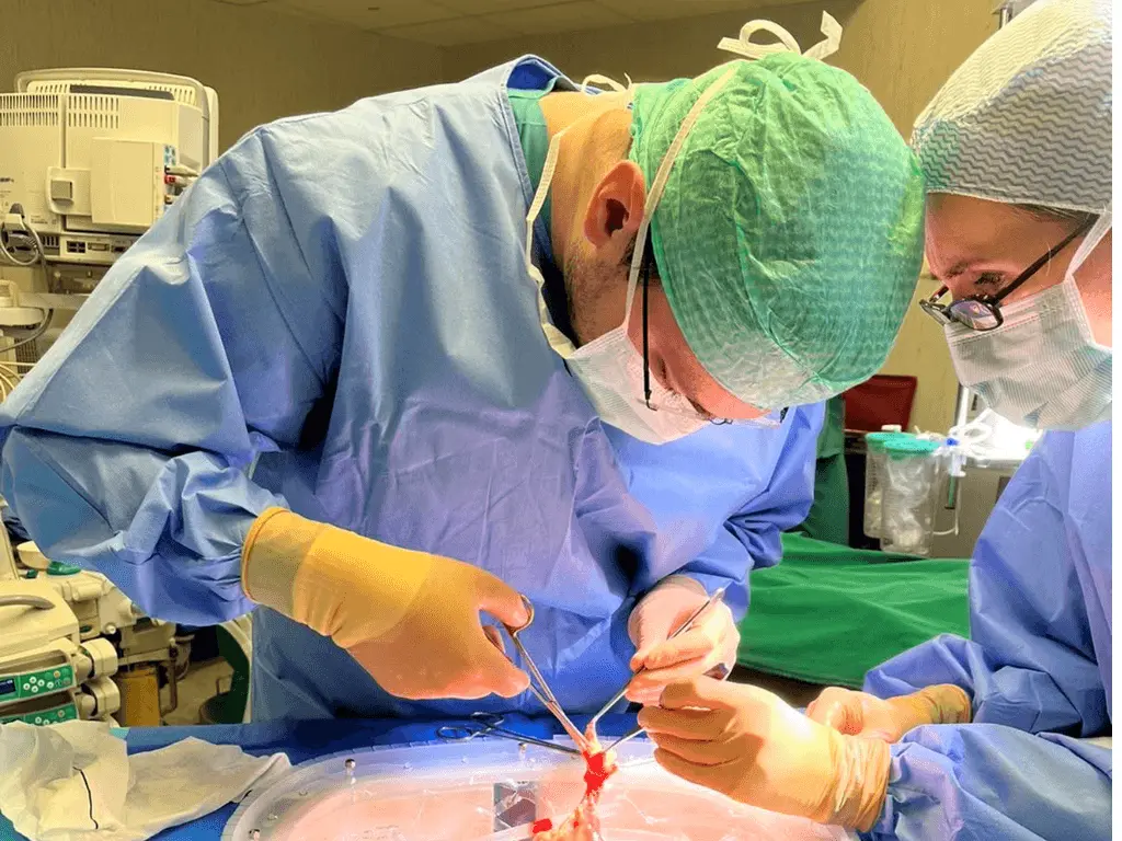 Medikai persodins daugiau kepenų: pavyks išgelbėti daugiau gyvybių