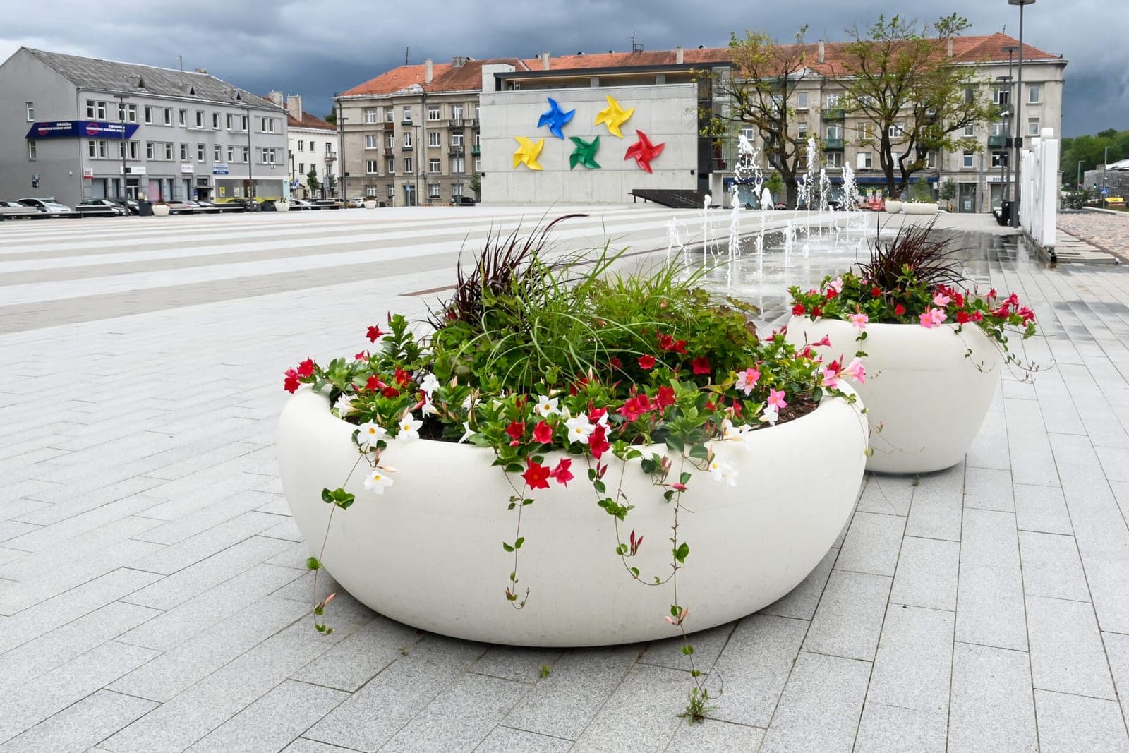 Foto galerijoje – miestų gėlynų grožis