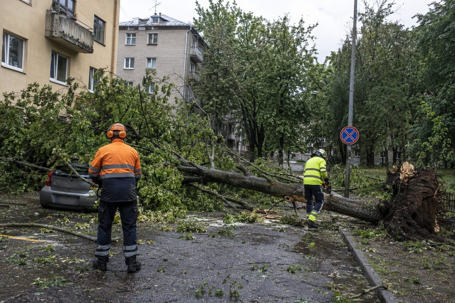 Lietuvą nusiaubė audra: žuvo žmogus, be elektros buvo likę 268 tūkst. gyventojų