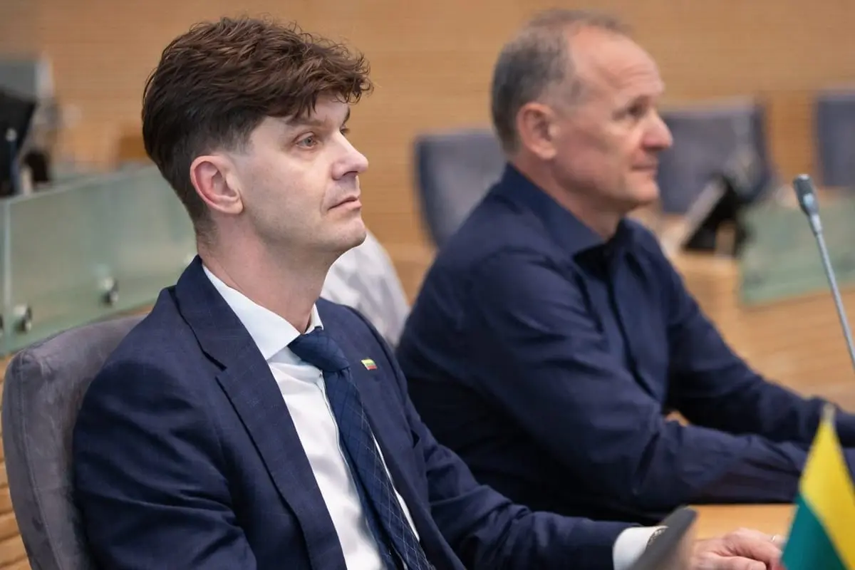 I. Vėgėlė kreipiasi į internautus: kviečia siūlyti pavadinimą naujai partijai