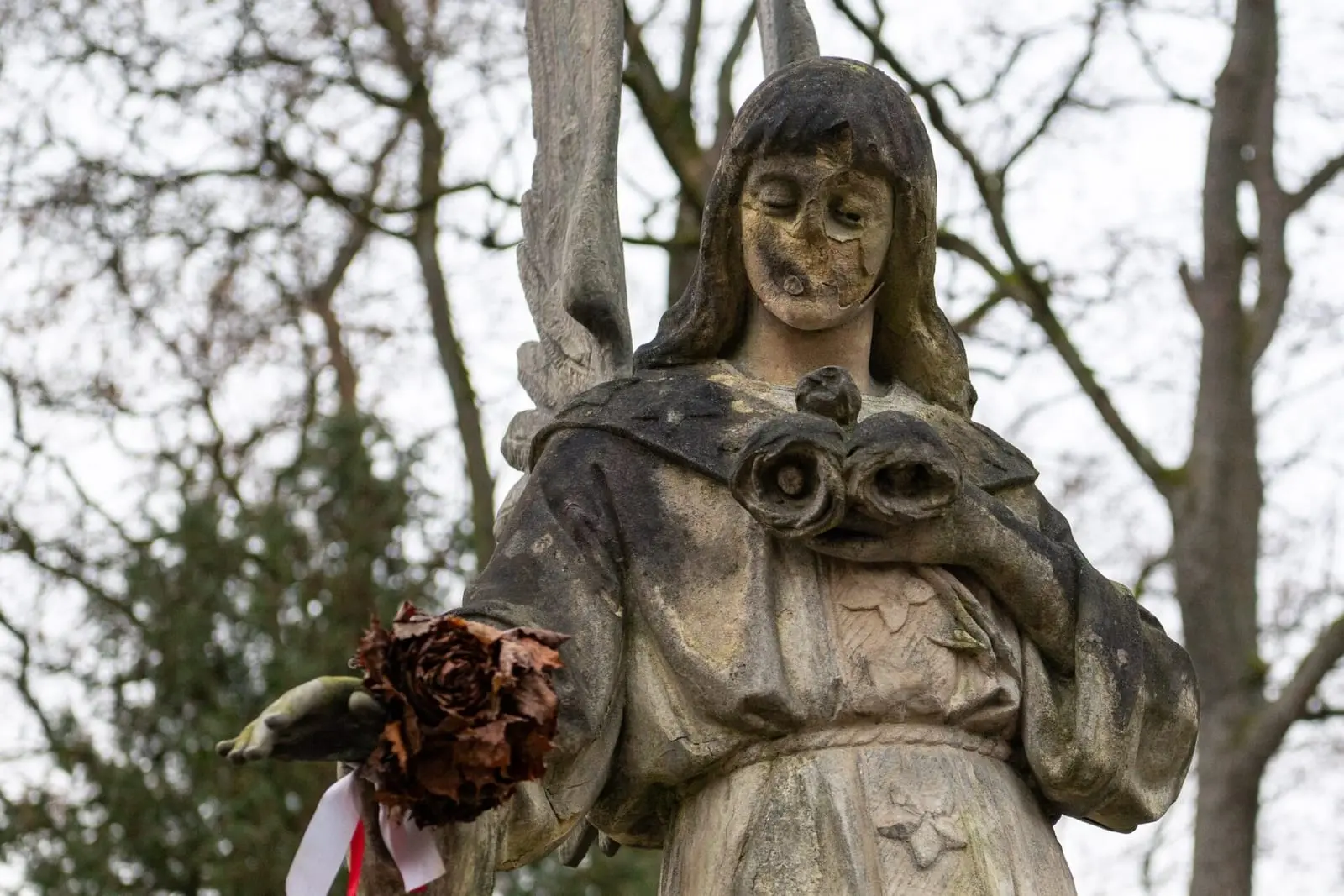 Kaimynų kapo tvarkymas gadina jūsų kapavietę: ką daryti ir ar galima reikalauti žalos atlyginimo?