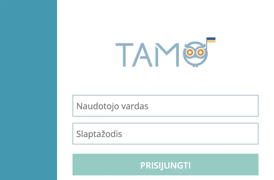Sutriko Tamo dienyno veikla: per šalčius likę namuose vaikai laikinai prisijungti negalėjo