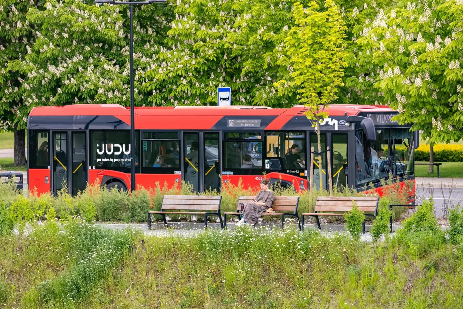 Vilniečiai piktinasi viešojo transporto vairuotojais – veža kaip bulvių maišus