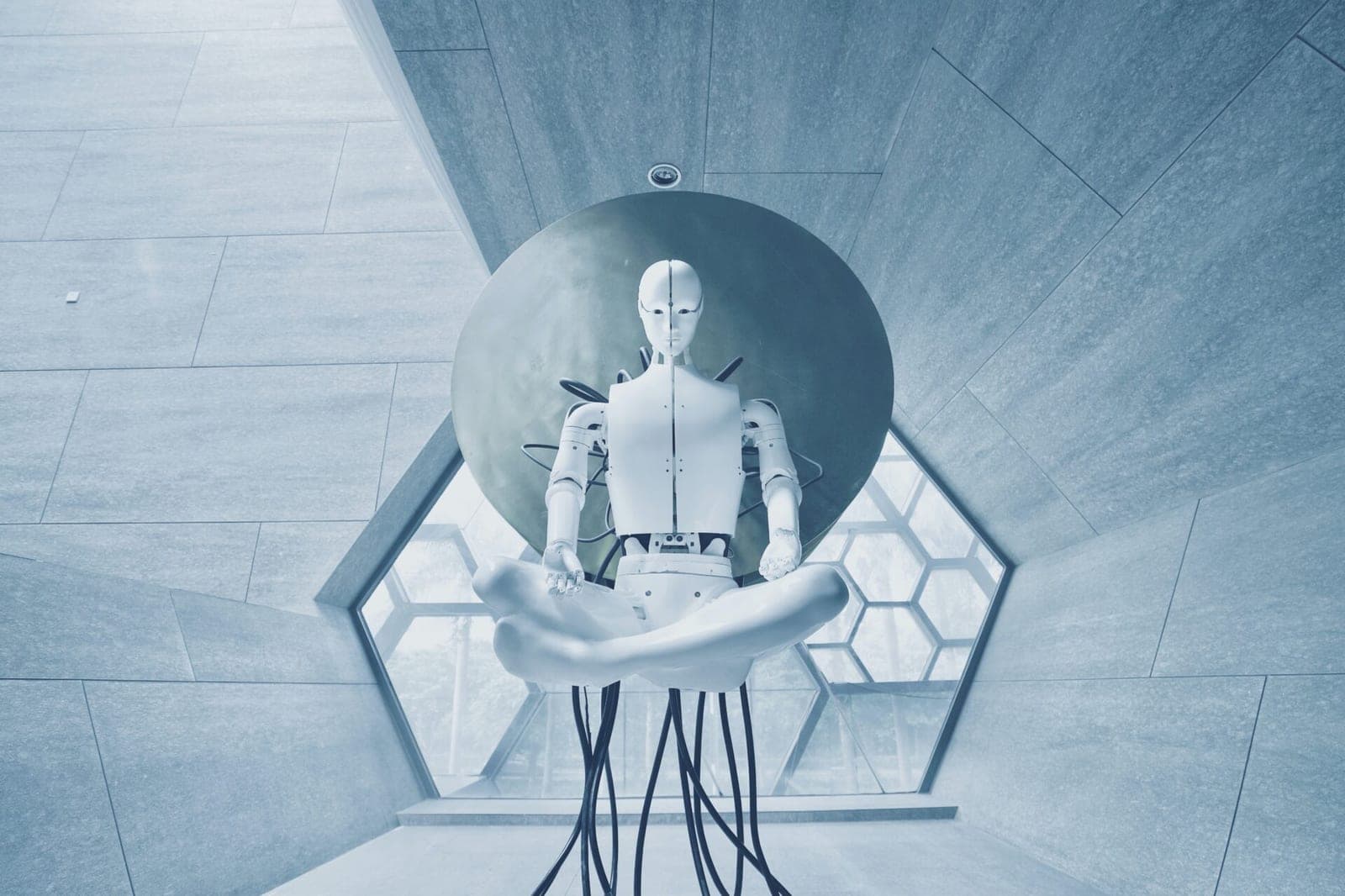 JAV verda diskusijos dėl „Tesla“ kuriamų robotų-humanoidų