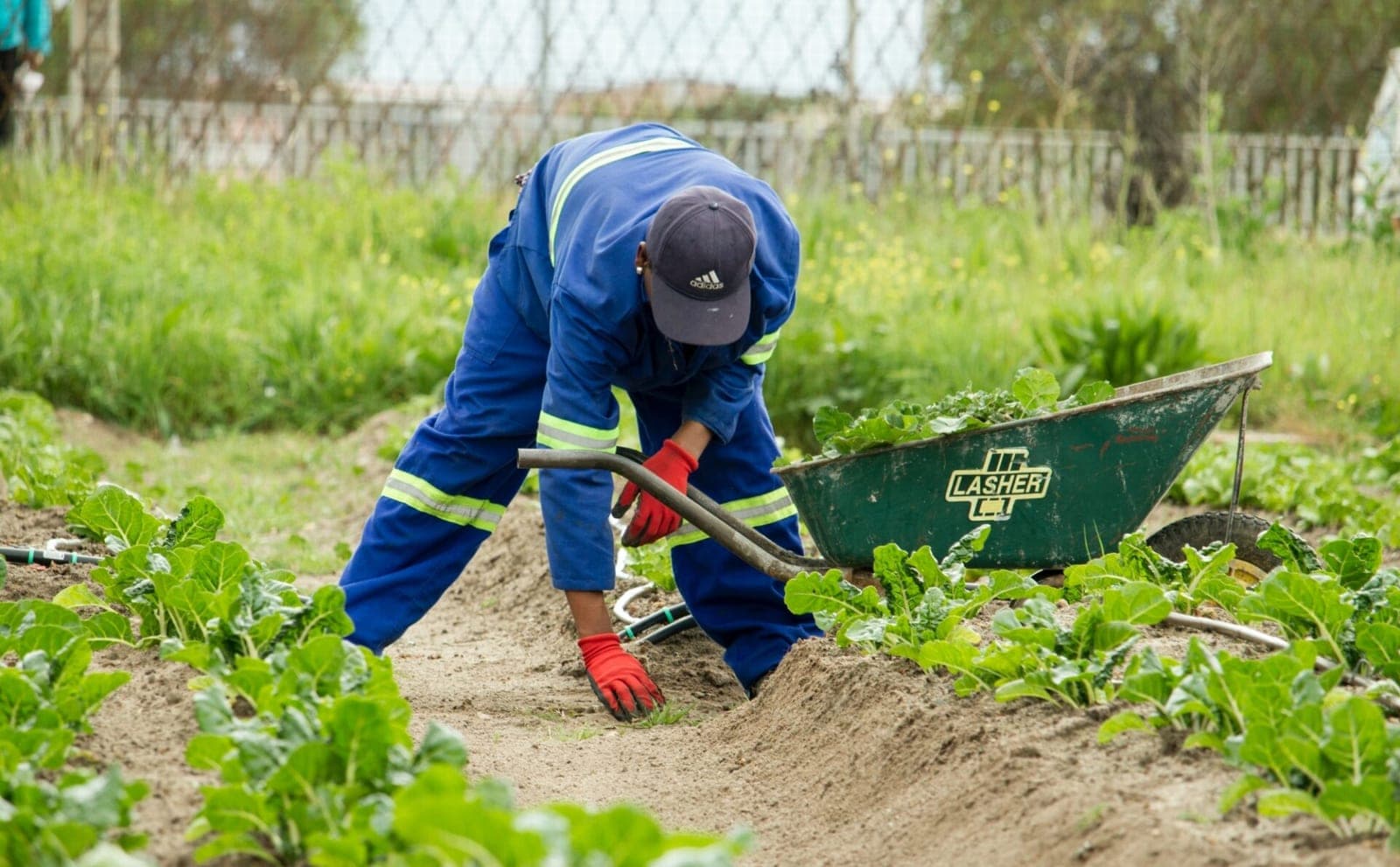 Nuo kitų metų ūkininkai galės paprasčiau įdarbinti užsieniečius