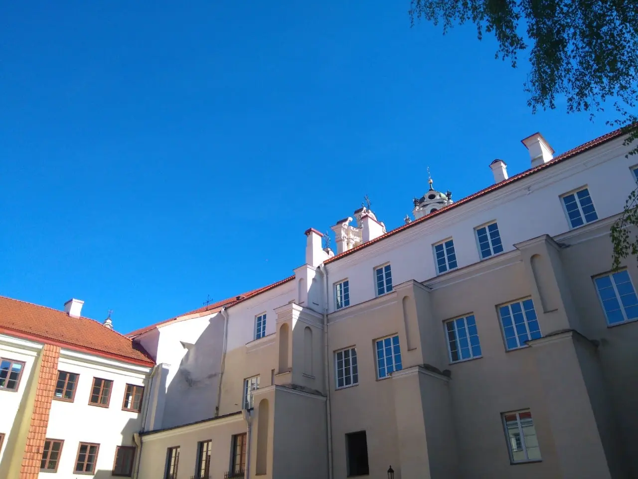 Užsimota susidoroti su neparankia VU dėstytoja, R. Janutienės laida bei A. Zuoku