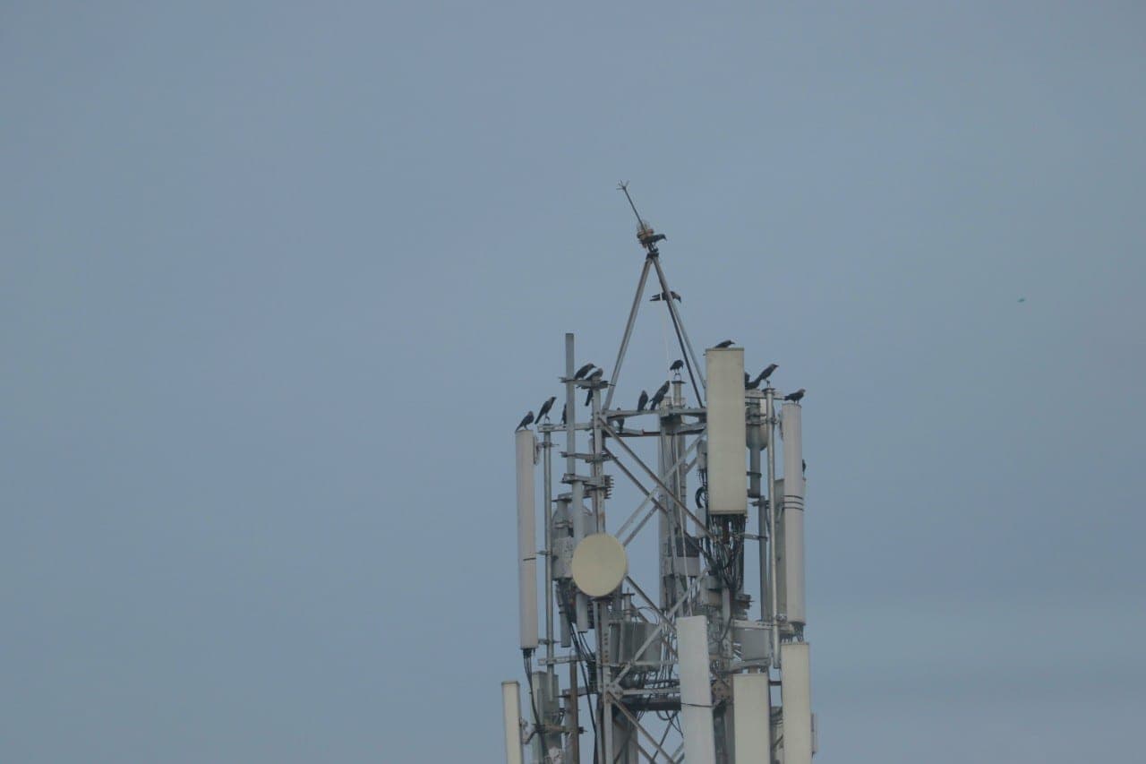 5G kelia rimtą pavojų net ir „Starlink“
