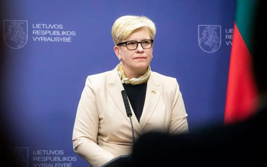 Kas taps konservatorių pirmininku: I. Šimonytė, L. Kasčiūnas ar P. Saudargas?