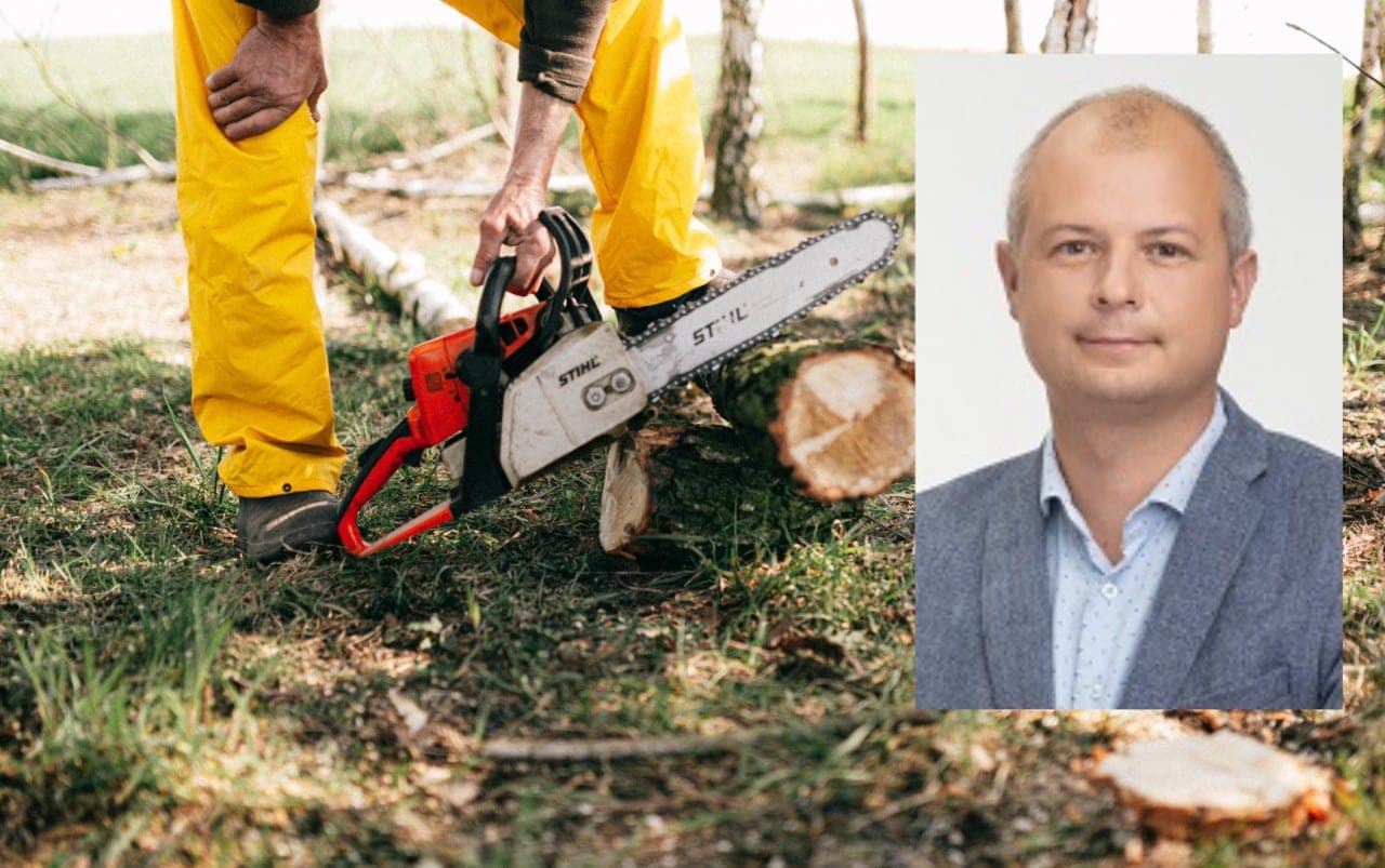 S. Gentvilą krato patys aplinkosaugininkai: tikrina, ar savo mišką kirto teisėtai