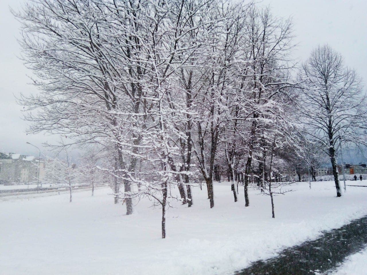 Mokestis už sniegą ir lietų – laukia „Čipolino“ scenarijus?