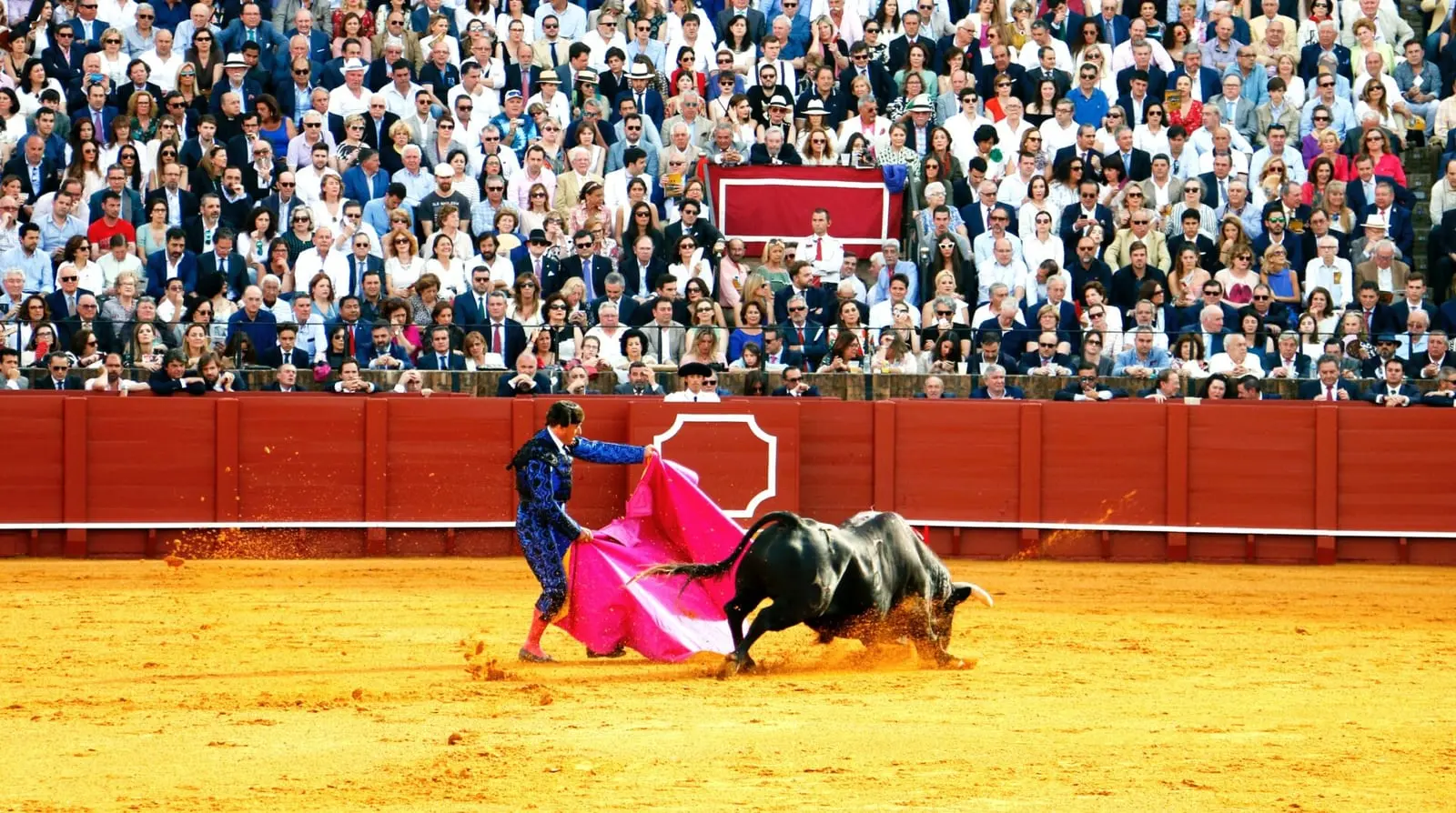 Ispanija uždraudė „neūžaugų“ ir bulių kovas – nykštukų koridą