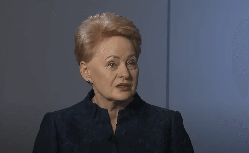 D. Grybauskaitė kritikuoja NATO: brangūs lėktuvai neapsaugo nuo pigių dronų