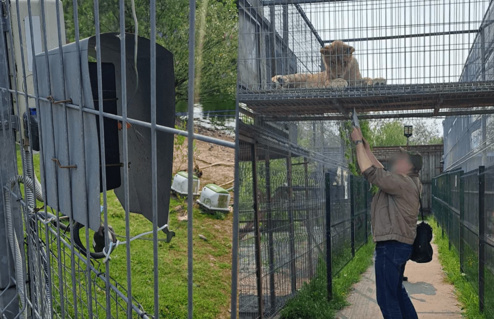 Laikinai uždarytas Klaipėdos zoologijos sodas: fiksuojami sisteminiai pažeidimai