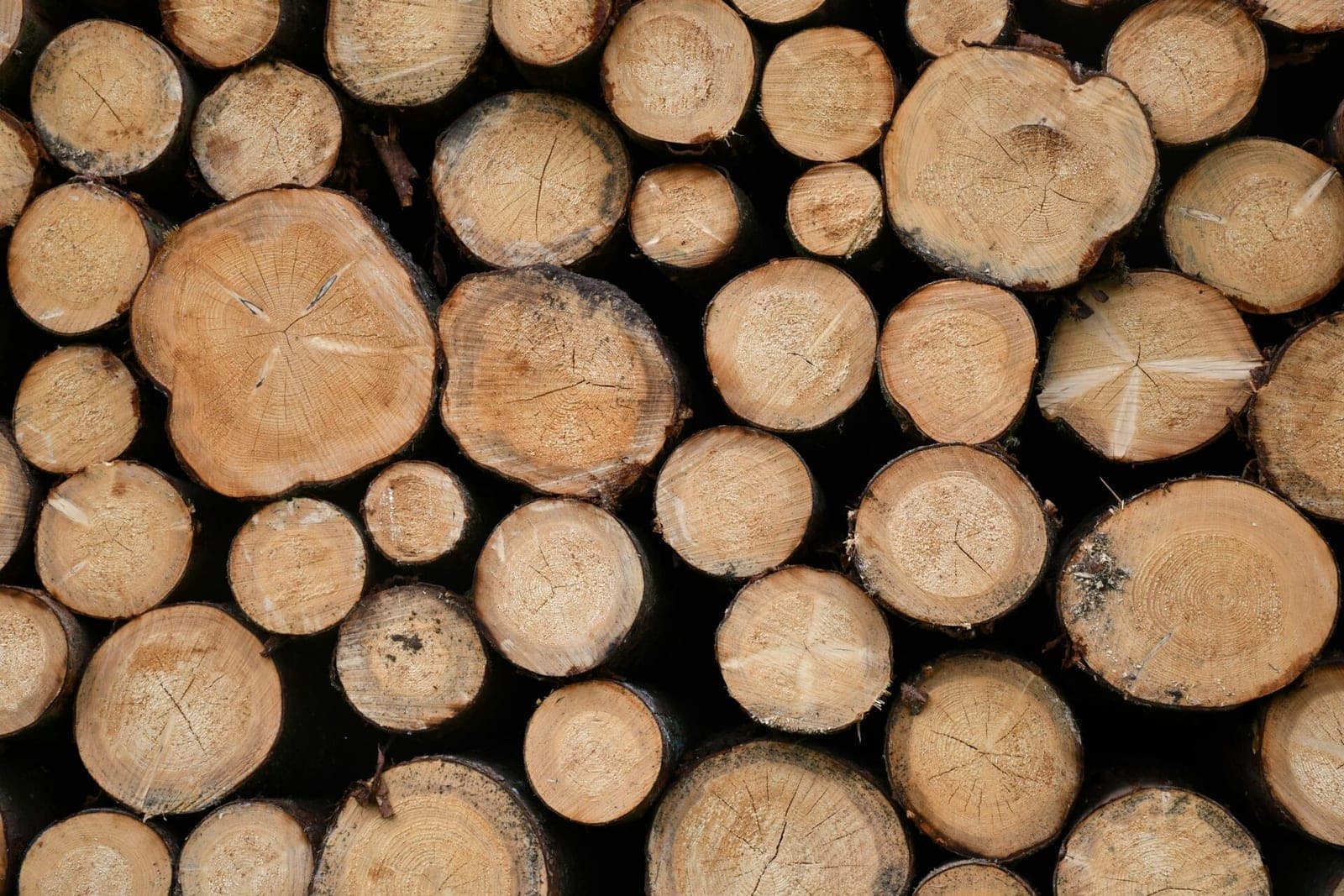 Uždrausta Baltarusiška mediena sėkmingai važiuoja į Lietuvą