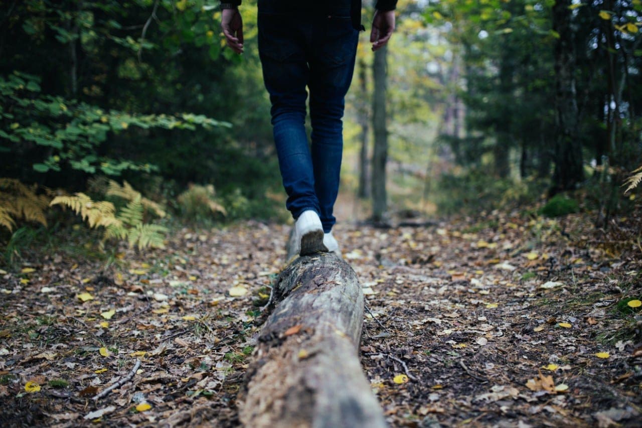 Kada darbdavys privalo tenkinti darbuotojo prašymą suteikti kasmetines atostogas?