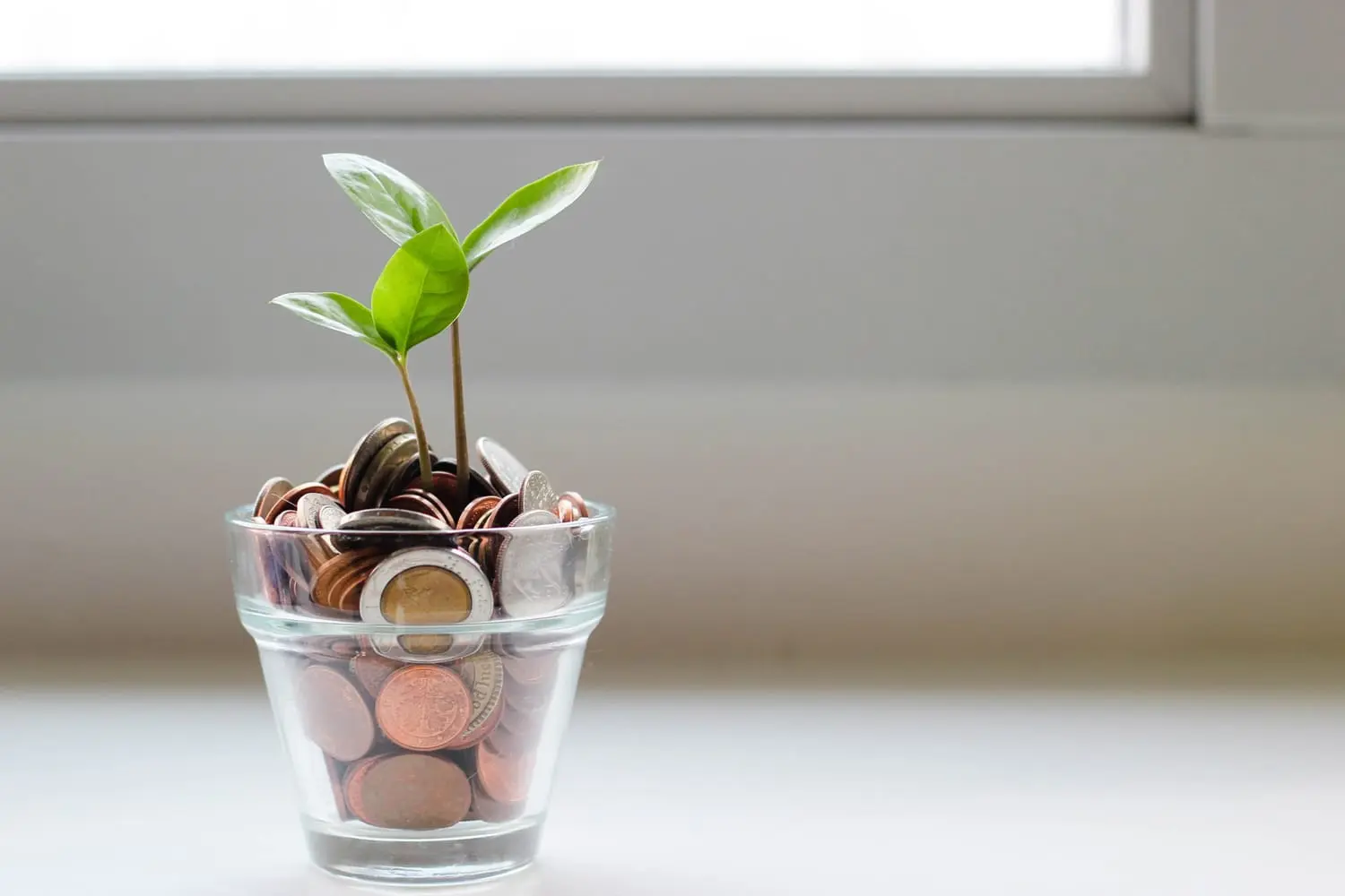 Kodėl verta investuoti ir kaip išsirinkti tinkamiausius būdus tai daryti?