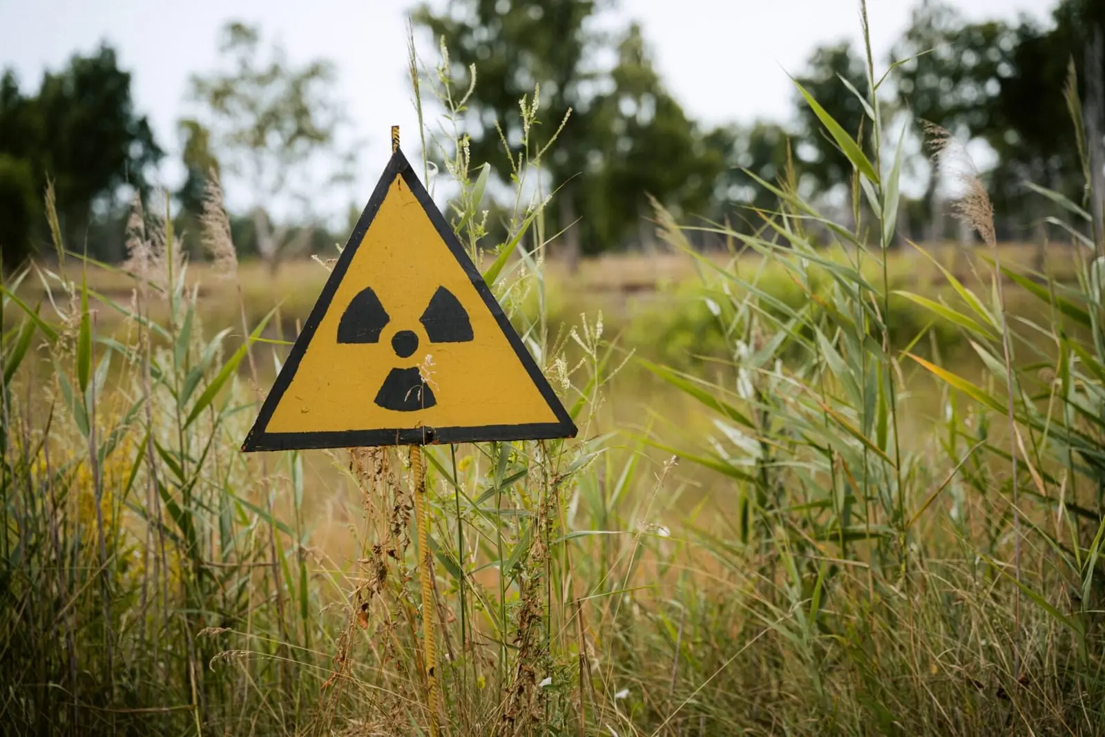 Branduolinis karas sukeltų tiesioginę grėsmę net 5 mlrd. žmonių