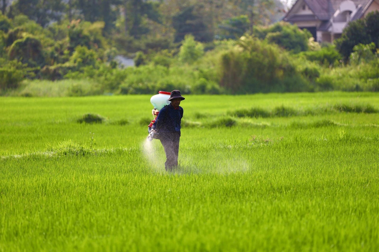 Trąšų kainų įbaugintiems ūkininkams agrotechnologai siūlo išeitį