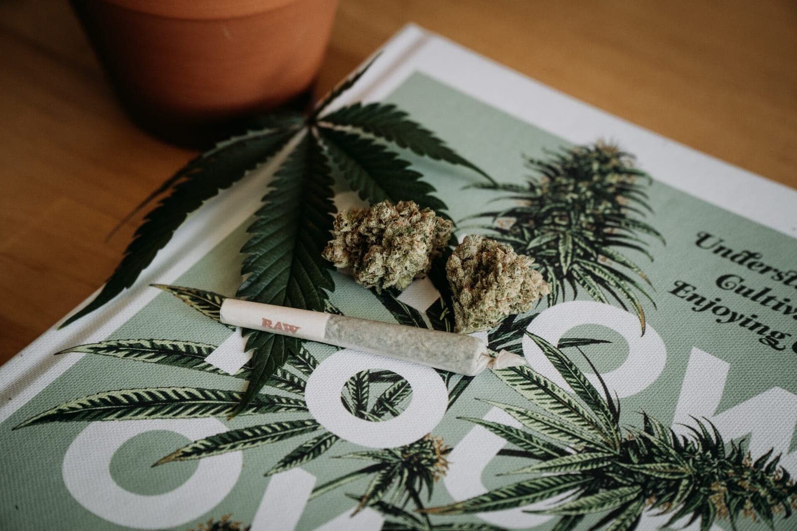 Malta žengė netikėtą žingsnį ir legalizuoja kanapių auginimą