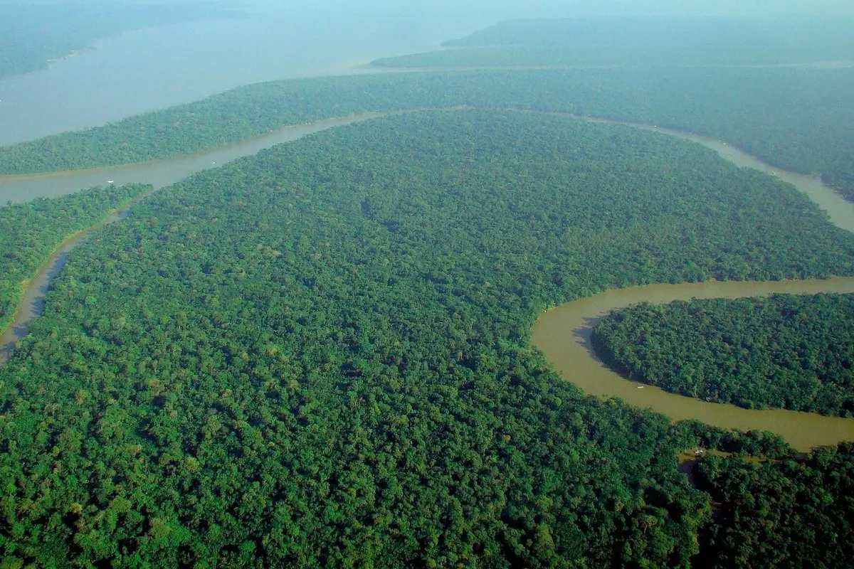 Amazonės miškų kirtimas Brazilijoje – mažiausias nuo 1988 m.: rekordas likus savaitei iki lemiamų rinkimų