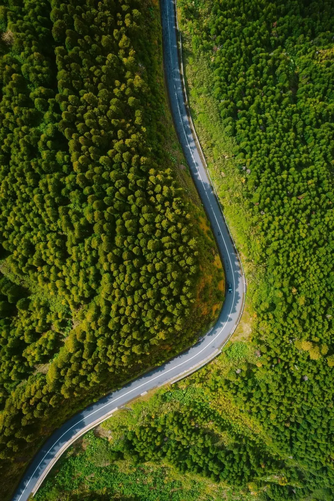 Lietuvos keliuose – dideli pokyčiai: asfaltuos 75 kilometrus žvyrkelių, aiškėja, kur vyks darbai