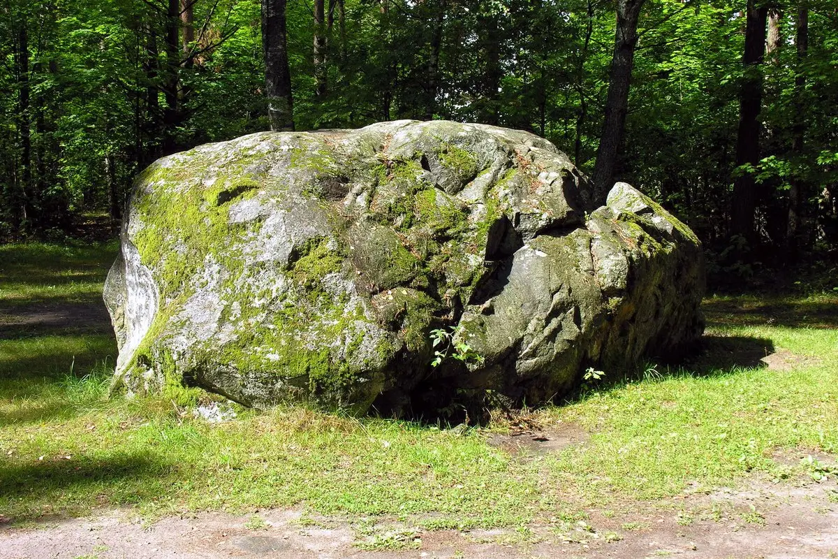 Mažeikių rajono mero ir tarybos rinkimai 2027: kandidatai, sąrašai, 2023 m. rezultatai ir tarybos sudėtis