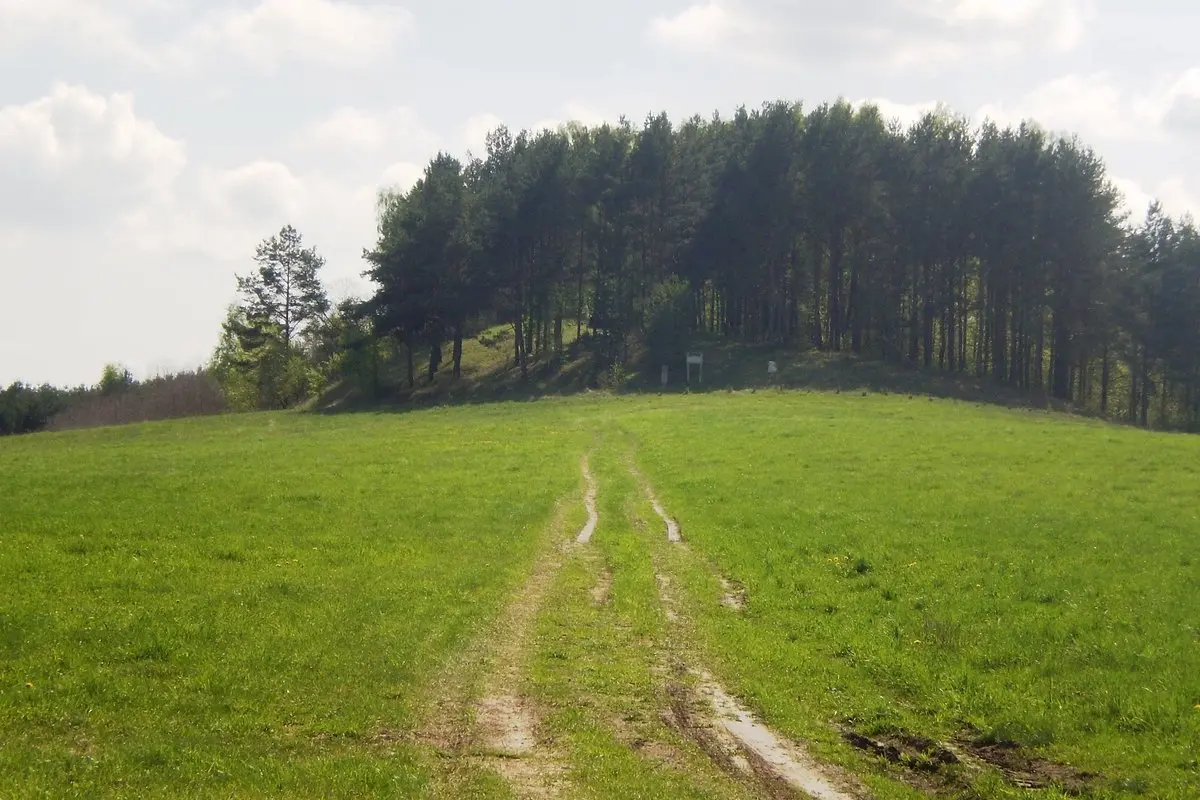 Panevėžio rajono mero ir tarybos rinkimai 2027: kandidatai, sąrašai, 2023 m. rezultatai ir tarybos sudėtis