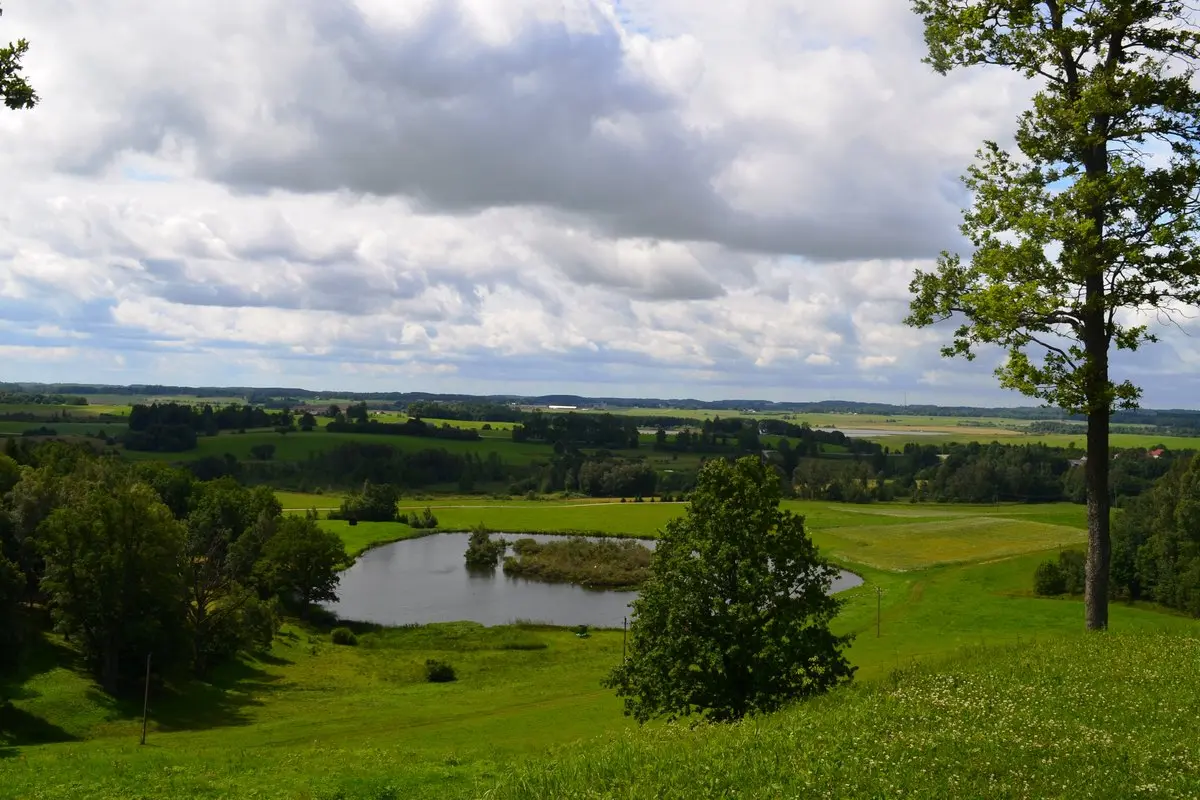 Šilalės rajono mero ir tarybos rinkimai 2027: kandidatai, sąrašai, 2023 m. rezultatai ir tarybos sudėtis