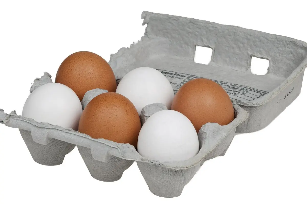 Vitaminas B12: trūkumo požymiai, kas rizikuoja, kur jo gauti ir kaip gydomas trūkumas