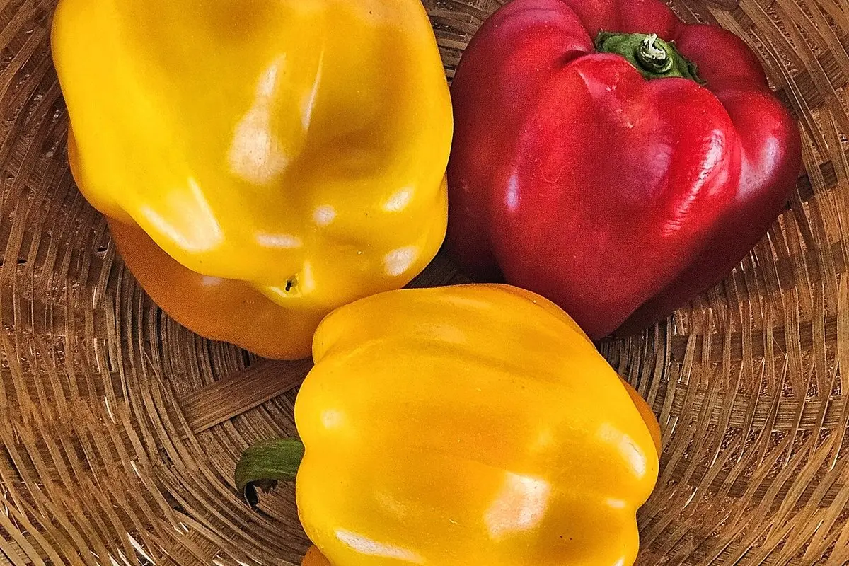 Vitaminas C: kiek reikia per parą, kur jo daugiausia ir ar jis tikrai apsaugo nuo peršalimo