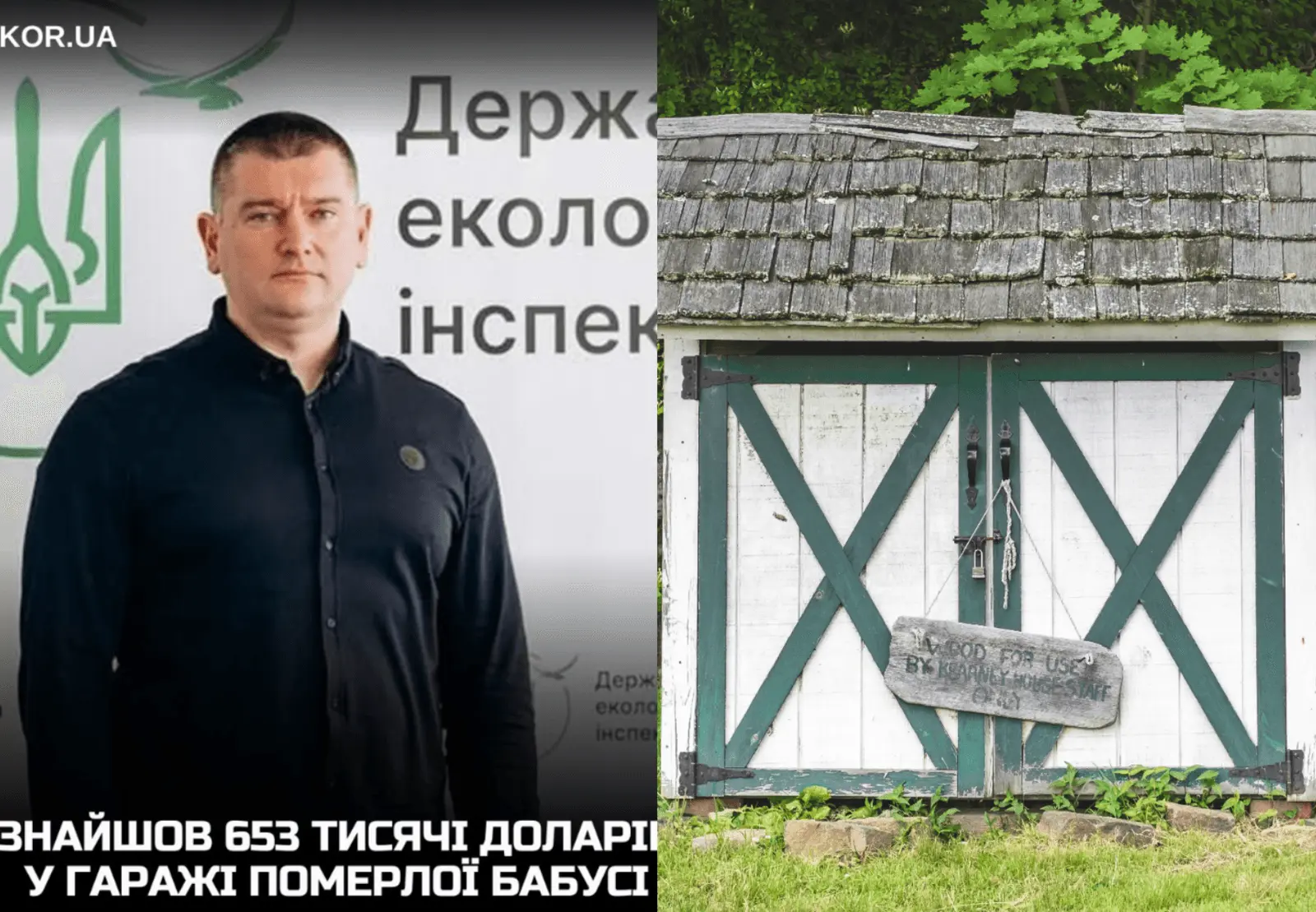 653 tūkst. dolerių „močiutės garaže“: tyrėjai nepatikėjo Ukrainos pareigūno deklaracija