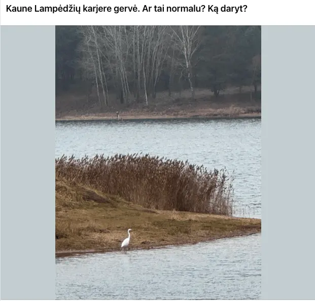 Lampėdžių karjere netikėtas svečias nustebino kaunietį – ką daryti?