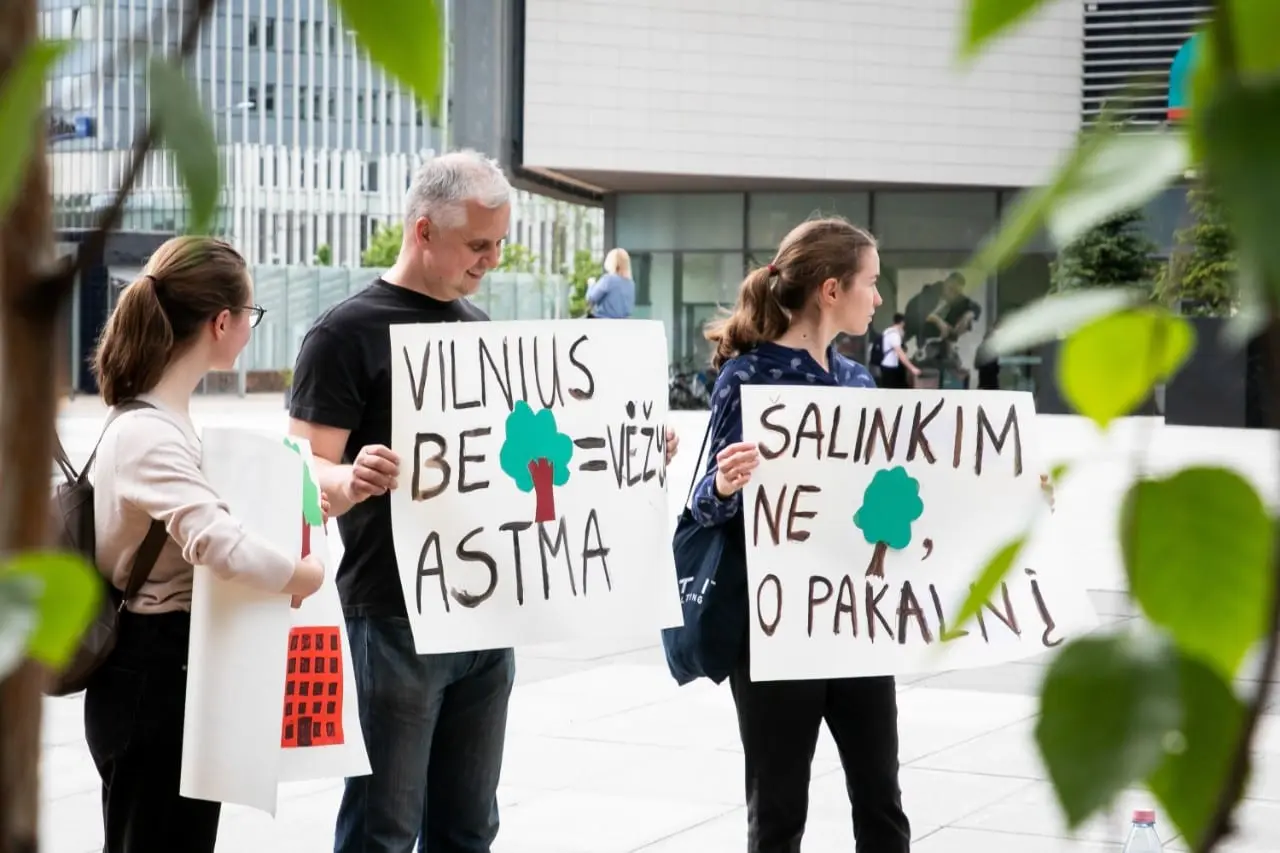 Kol „feisbukiniai” kovotojai „putojasi” dėl ąžuolo, ministerija užsimojo didinti miškų kirtimų plotus