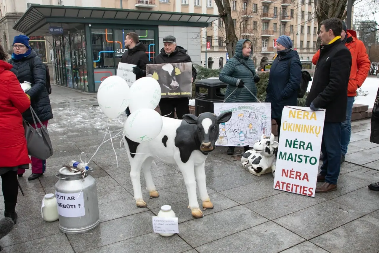 Laktozės netoleravimas ir alergija: ką daryti, jeigu bloga nuo pieno?