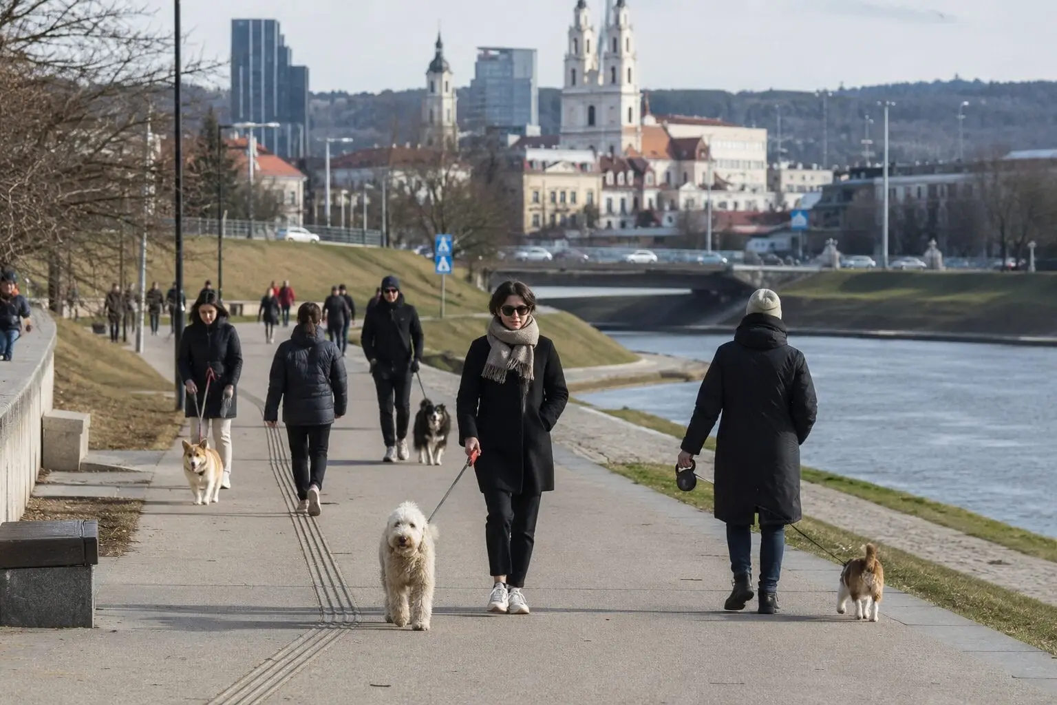 Gyvūnų šeimininkams – nauja tvarka: už kai ką gali grėsti ir baudos