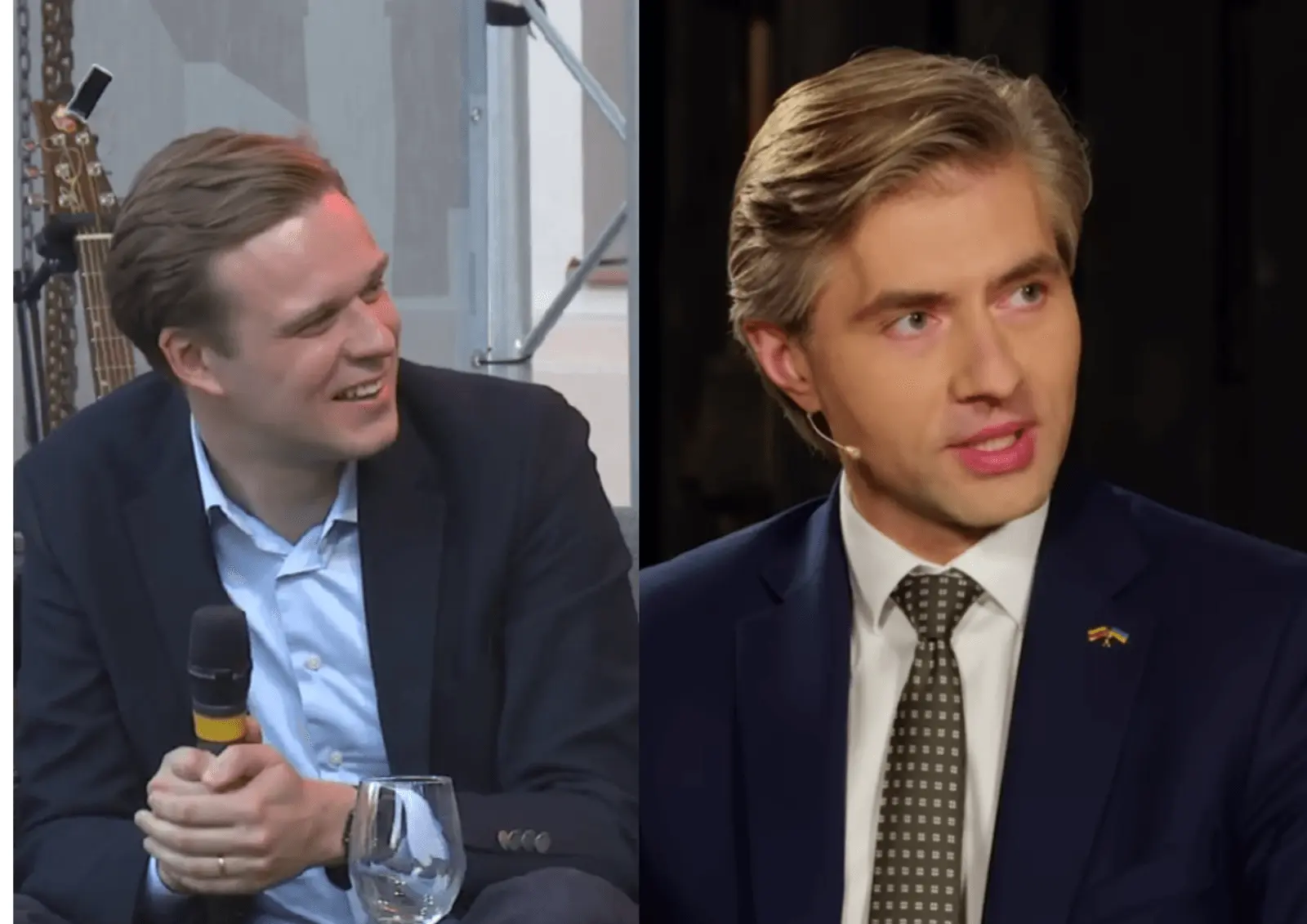 Buvęs ministras neužleidžia scenos: G. Landsbergio balsas girdimas garsiau nei Budrio?