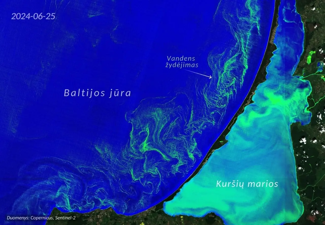 Baltijos jūros vandens žydėjimas matomas iš kosmoso