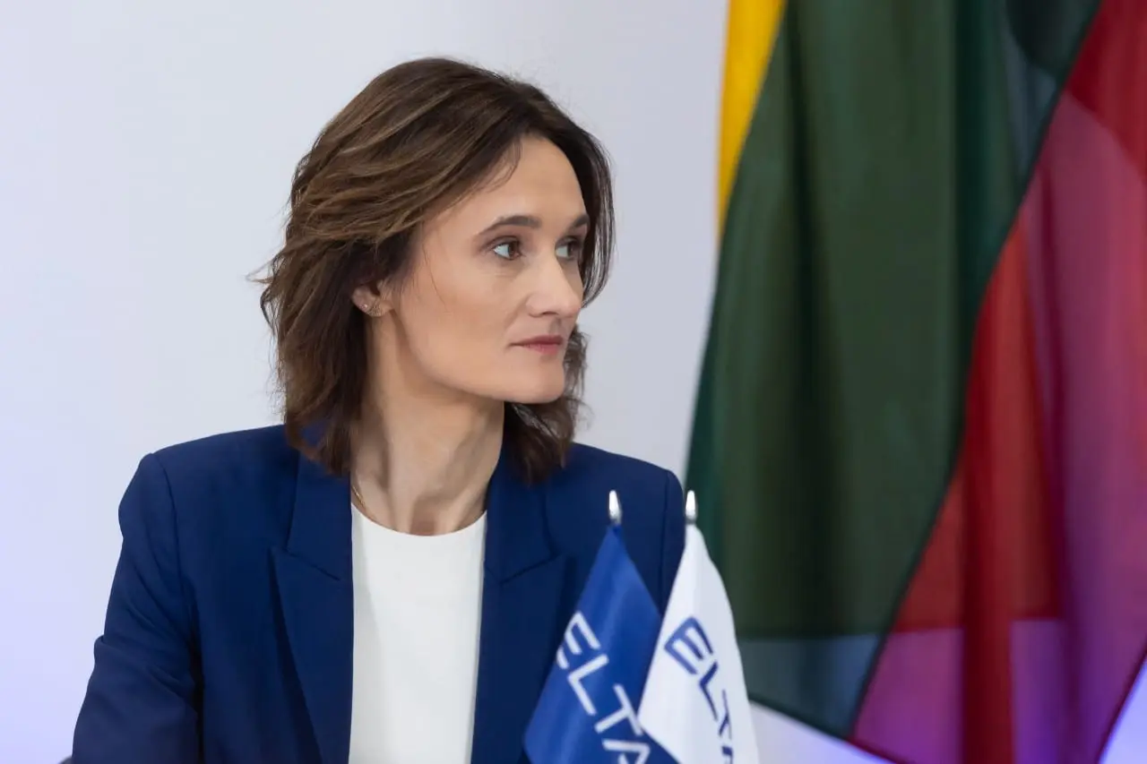 V. Čmilytė-Nielsen: pasiteisino Liberalų sąjūdžio strategija pirmenybę teikti Seimo rinkimams