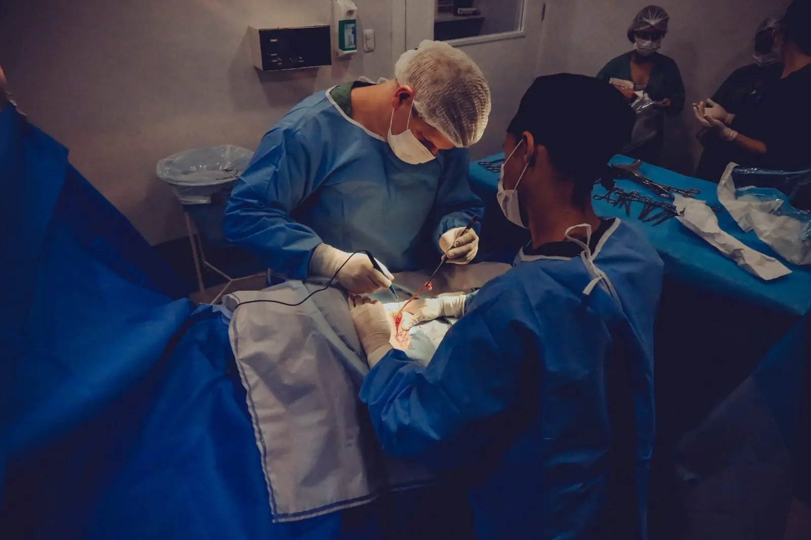 Kiaulių organų pritaikymas žmonėms gali padėti spręsti organų donorų trūkumo problemą