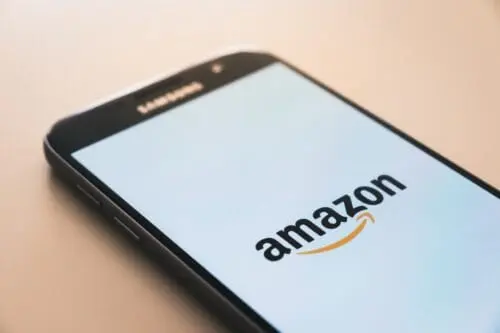 Vilniuje sulaikytas sukčius, iš „Amazon“ išviliojęs daugiau nei 2,5 mln. eurų